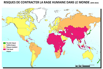 2015-05 Nouveau cas de rage en France
