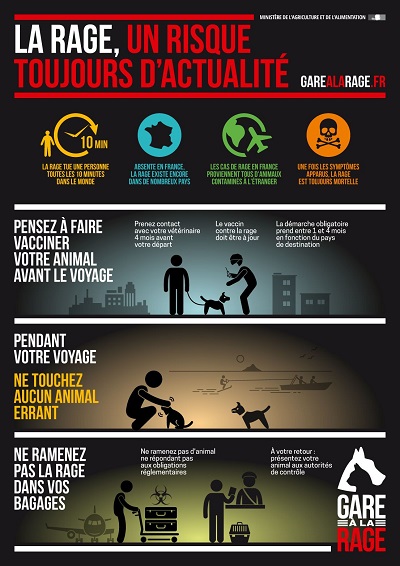 La rage, un risque toujours d'actualit