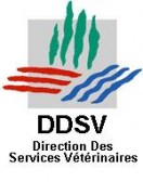 dsv.jpeg